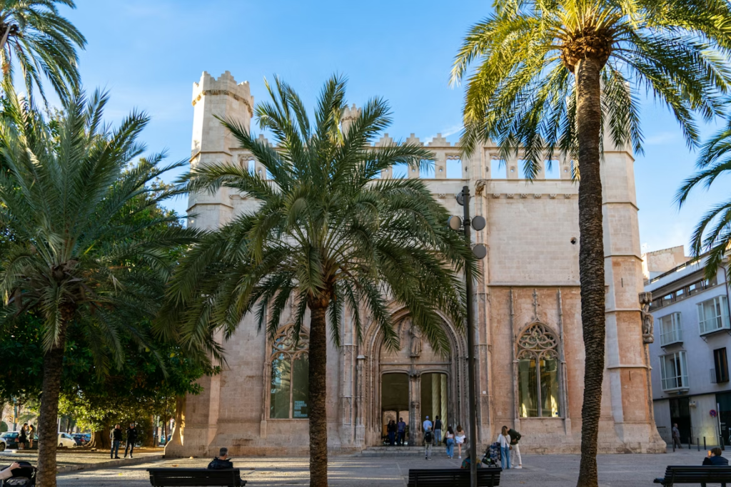 qué hacer en Palma de Mallorca vistas de la ciudad y catedral