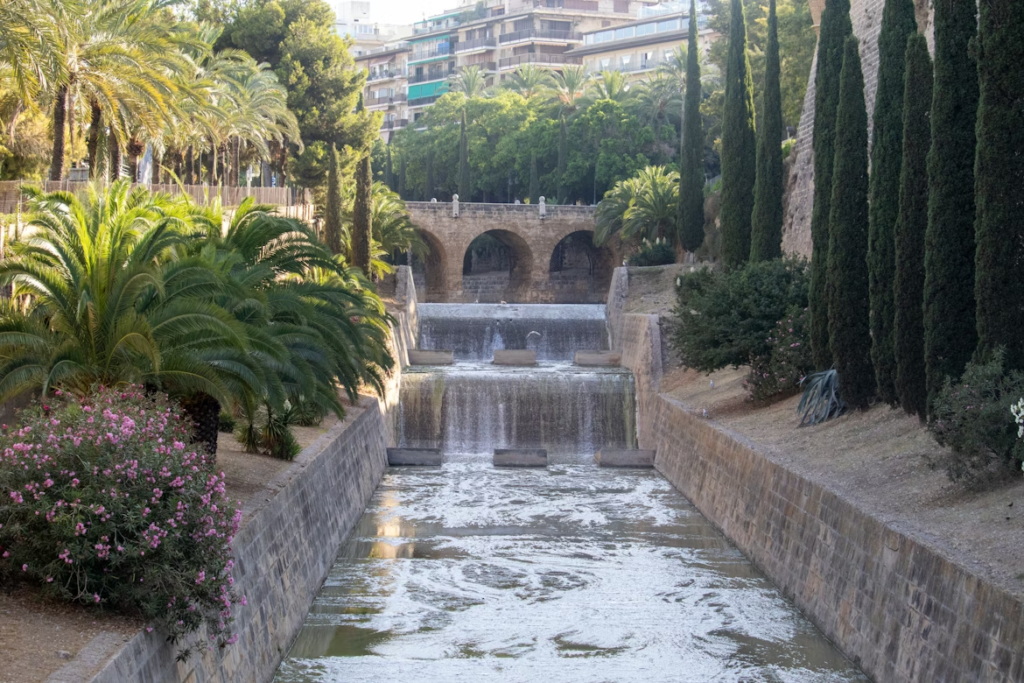 cosa fare a palma di maiorca centro storico cattedrale la seu